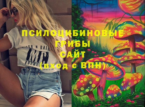 винт Пересвет