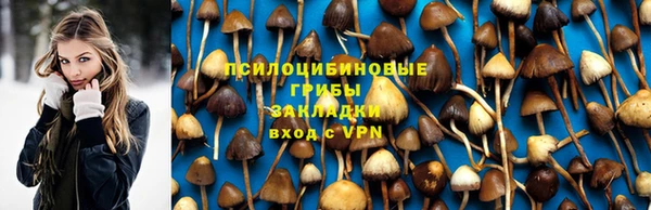 Альфа ПВП Остров