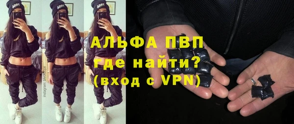 винт Пересвет
