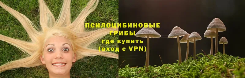 Галлюциногенные грибы MAGIC MUSHROOMS  Мамадыш 