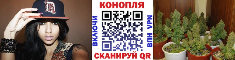 Шишки марихуана тримм  Мамадыш 